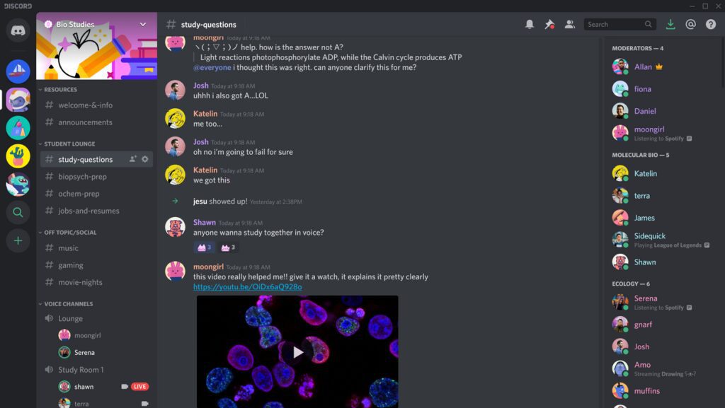 how discord servers are reshaping the way gamers communicate and connect