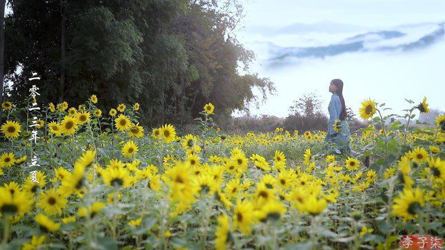 LÃ½ Tá»­ Tháº¥t's poetic scenery in her videos.