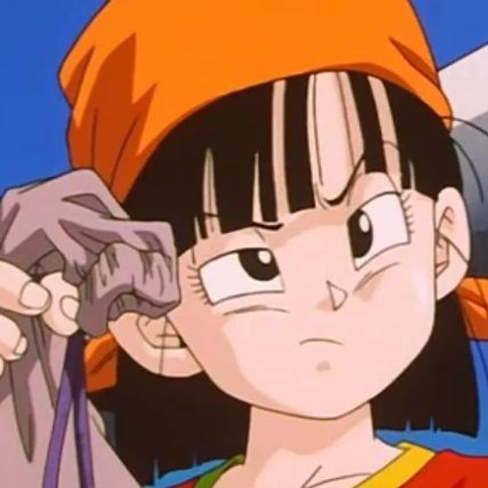 5 Most Disliked Sagas of Dragon Ball - Image 1.